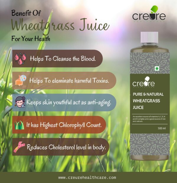 Creure Wheatgrass improve eyesight, increase hemoglobin level, increase energy and help build immunity, digestion. Excellent Health juice.