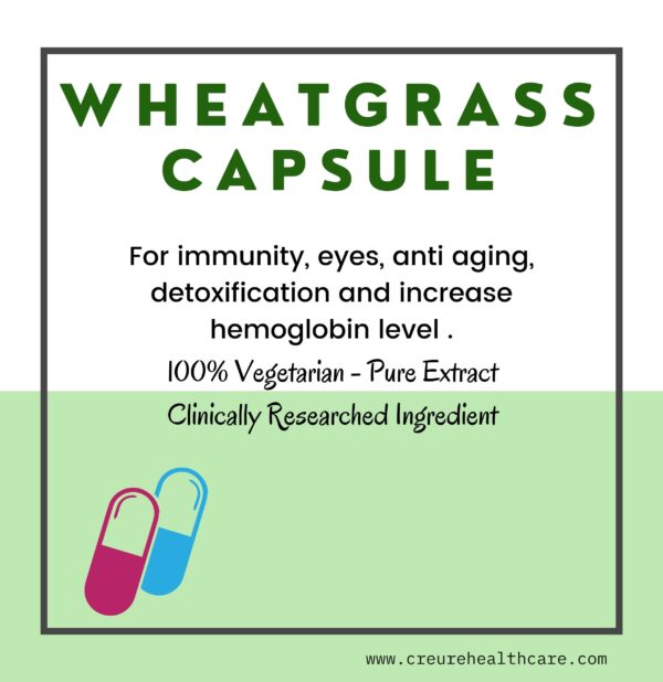 Creure Wheatgrass supplement helps improve eyesight, increase hemoglobin level, increase energy and help build immunity. It has anti-ageing properties.