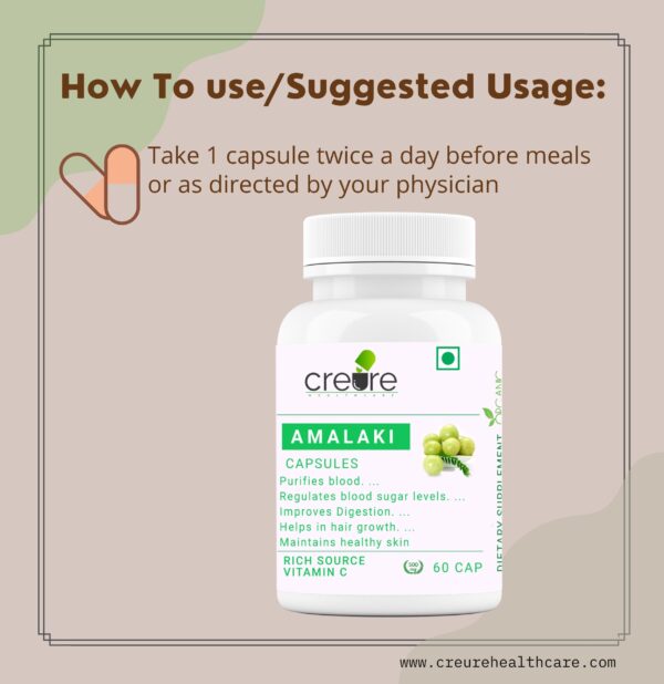 Creure Amla capsules it is a natural source of Vitamin C builds immunity against viral & bacterial ailments including cough & cold, naturally. Reduces acidity, helps in hair growth and helps in digestion.