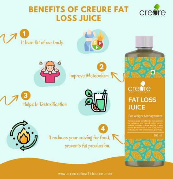 Creure Fat Loss includes most powerful ingredients like Amla, Apple Cider Vinegar, Garcinia Combogia, Green Coffee, Giloy, Kito and other ingredients. Fat Loss Juice- Manage Weight Naturally.
